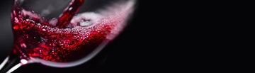 Our Top 10 Red Wines of the Moment