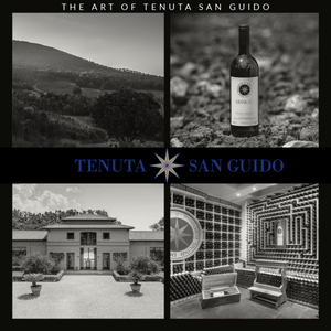High Art - Tenuta San Guido