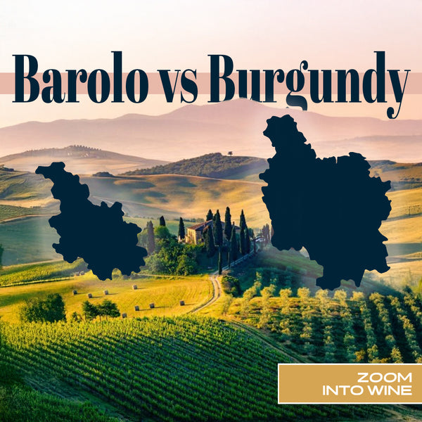 Barolo vs Burgundy