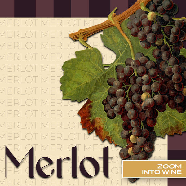 Wednesday, February 19th @ 7pm | Merlot